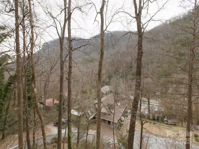 950 Main Street 5, Chimney Rock, NC 28720