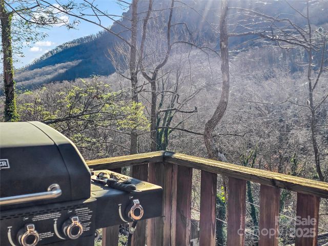 950 Main Street 5, Chimney Rock, NC 28720