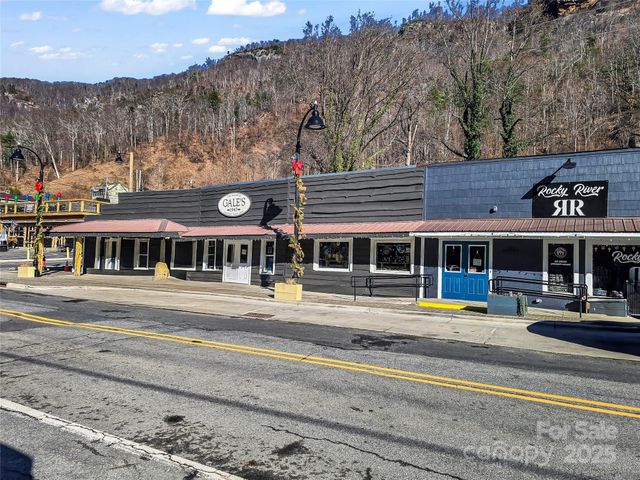 950 Main Street 5, Chimney Rock, NC 28720