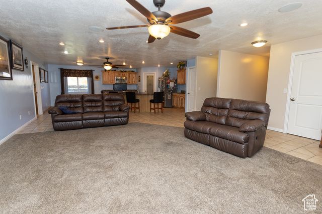 251 N 580 W, Monroe, UT 84754