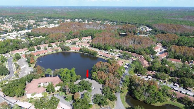 3399 MERMOOR DRIVE 207, Palm Harbor, FL 34685