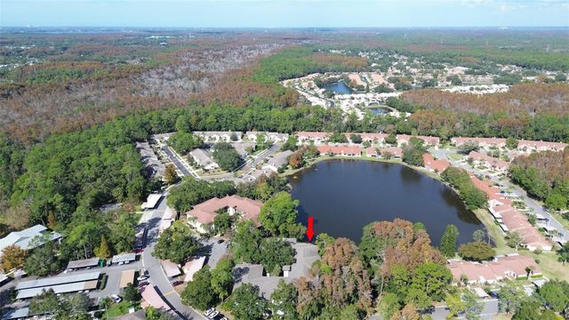 3399 MERMOOR DRIVE 207, Palm Harbor, FL 34685