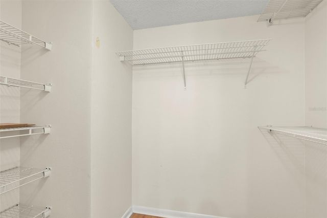 3399 MERMOOR DRIVE 207, Palm Harbor, FL 34685