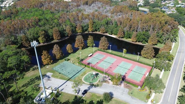 3399 MERMOOR DRIVE 207, Palm Harbor, FL 34685