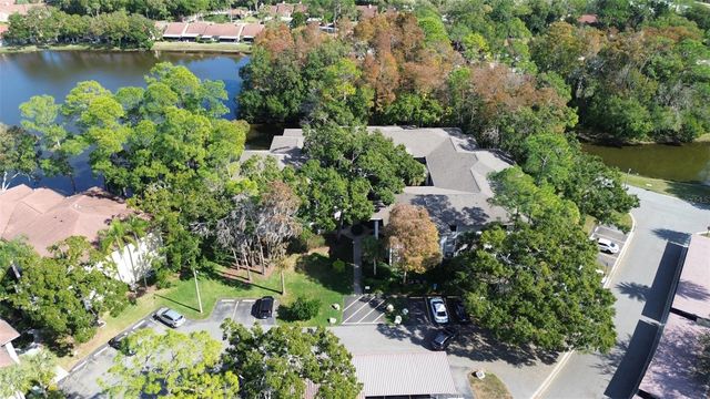 3399 MERMOOR DRIVE 207, Palm Harbor, FL 34685