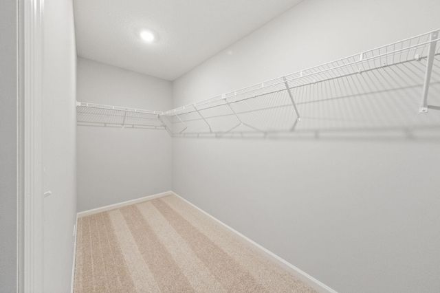 14606 Rhinestone Street NW, Ramsey, MN 55303