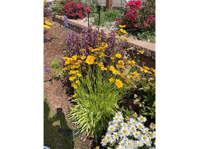 1018 Gabriella Ln, Berthoud, CO 80513