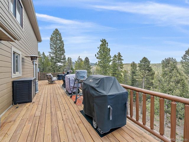24998 Red Cloud Dr, Conifer, CO 80433