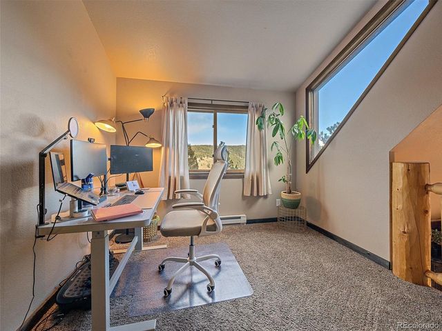 24998 Red Cloud Dr, Conifer, CO 80433