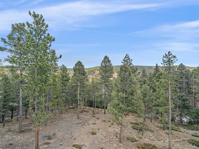 24998 Red Cloud Dr, Conifer, CO 80433