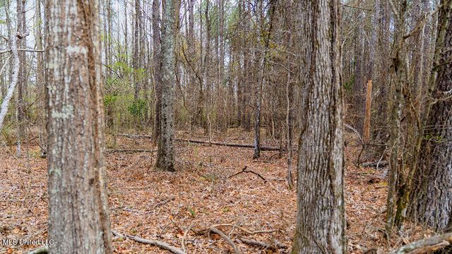 0 Jamison Court, Brandon, MS 39042