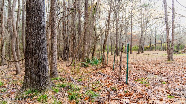 0 Jamison Court, Brandon, MS 39042