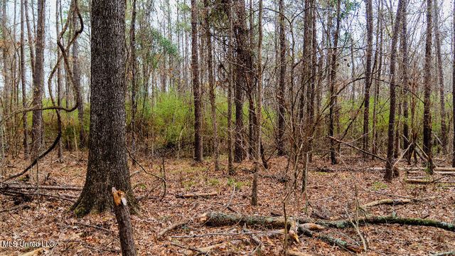 0 Jamison Court, Brandon, MS 39042