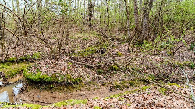 0 Jamison Court, Brandon, MS 39042