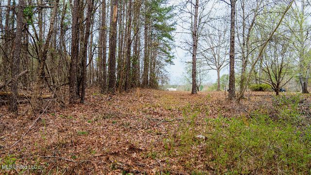 0 Jamison Court, Brandon, MS 39042