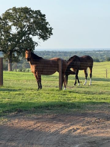 4067 CR 414, St Jo, TX 76265