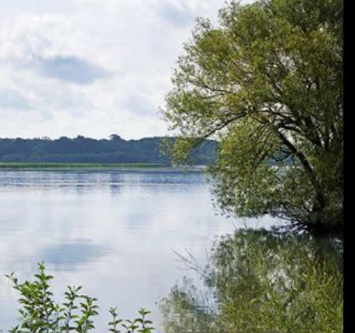 197 Joslin Cove Drive, Manistee, MI 49660