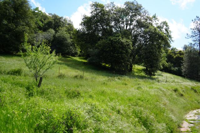 18243 Climax Rd, Jackson, CA 95642
