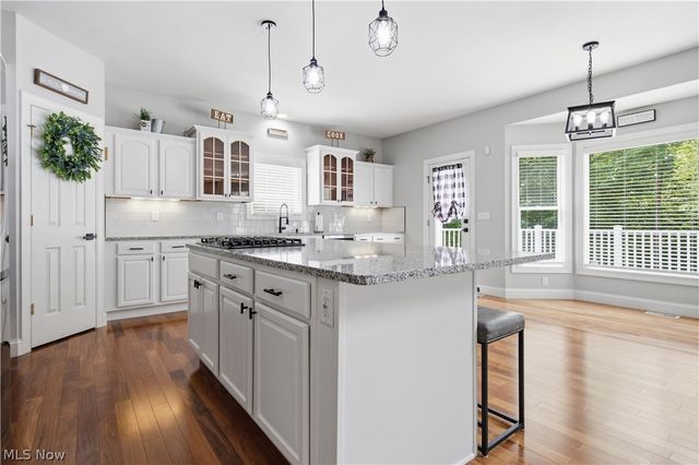 10806 Ellison Creek Drive, Concord Twp, OH 44077