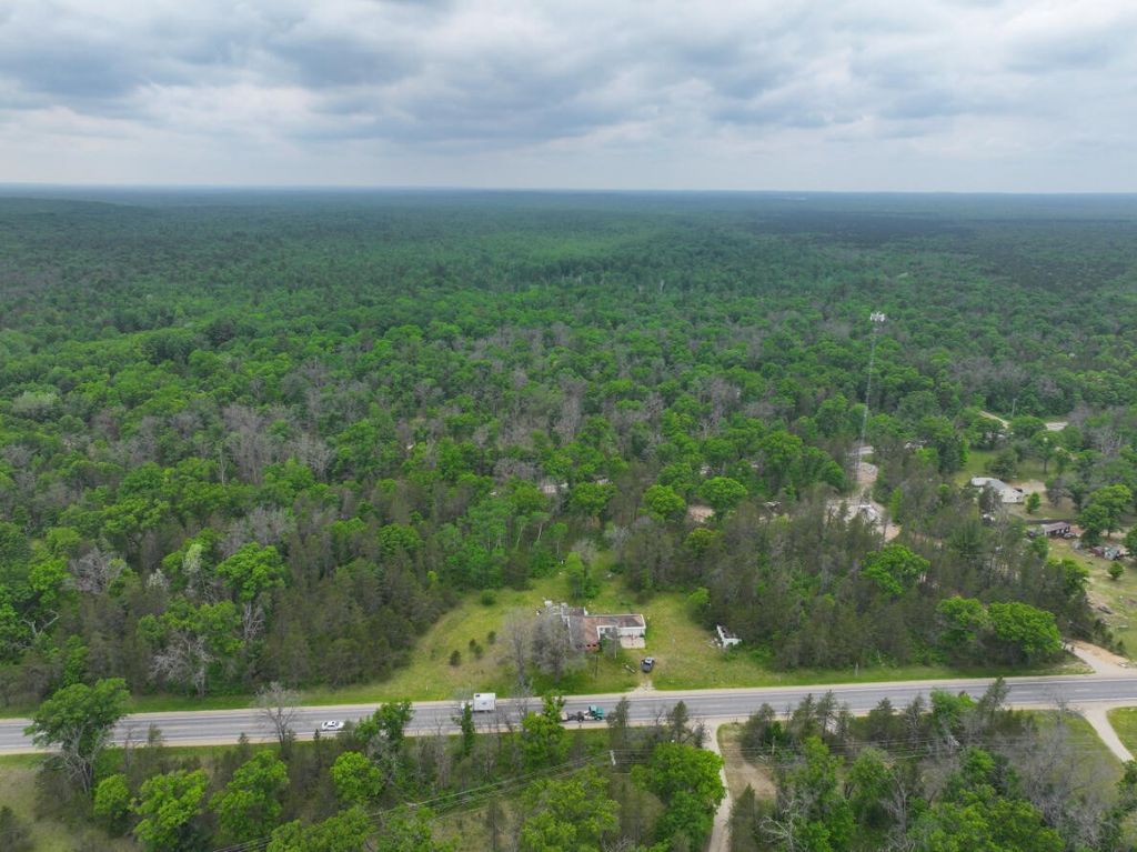 14269 N Woodbridge Avenue, Bitely, MI 49309