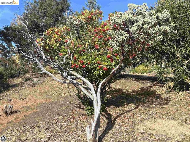 20883 Lynn Lane, Sonora, CA 95370