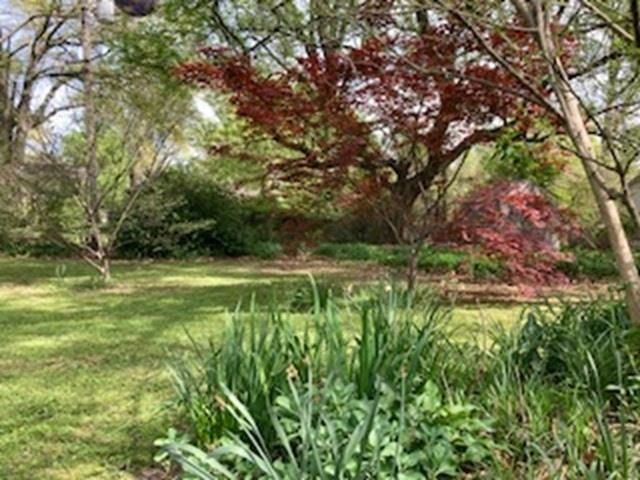 564 ALEXANDER ST, Memphis, TN 38111