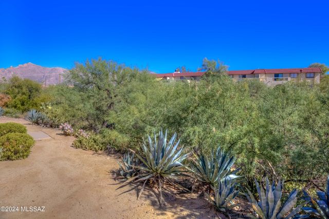 6322 N Barcelona Ln Unit 519, Tucson, AZ 85704