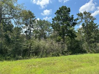 377 Exploration Road, New Waverly, TX 77358