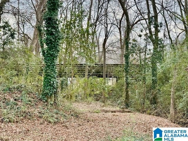 219 W LADIGA STREET, Piedmont, AL 36272