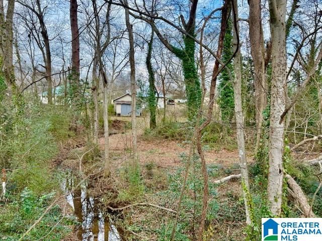 219 W LADIGA STREET, Piedmont, AL 36272