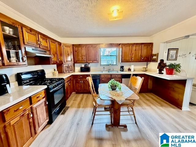 219 W LADIGA STREET, Piedmont, AL 36272