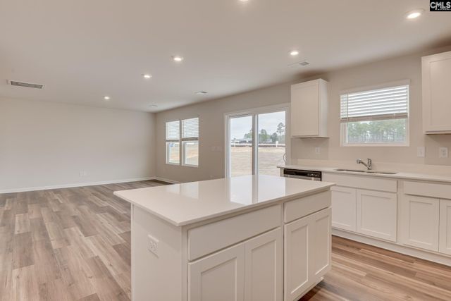 308 Paratrooper Lane, Columbia, SC 29229