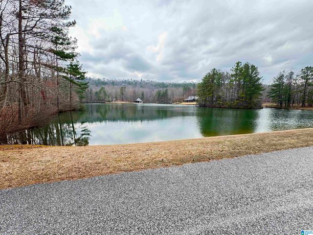 260 SOUTH OAK DRIVE, Birmingham, AL 35242