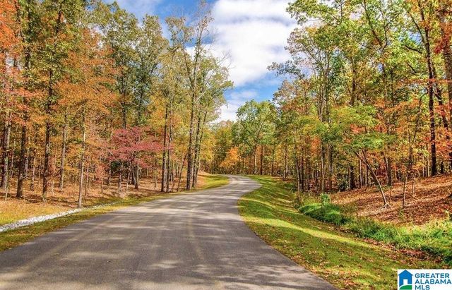 260 SOUTH OAK DRIVE, Birmingham, AL 35242