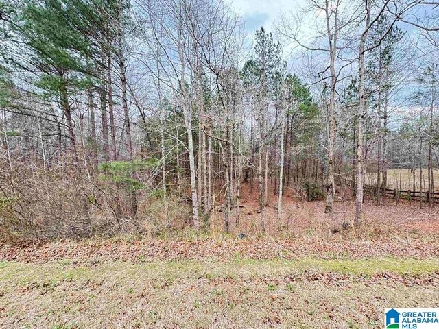 260 SOUTH OAK DRIVE, Birmingham, AL 35242