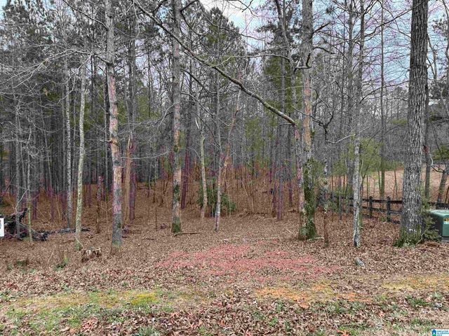 260 SOUTH OAK DRIVE, Birmingham, AL 35242