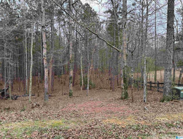 260 SOUTH OAK DRIVE, Birmingham, AL 35242