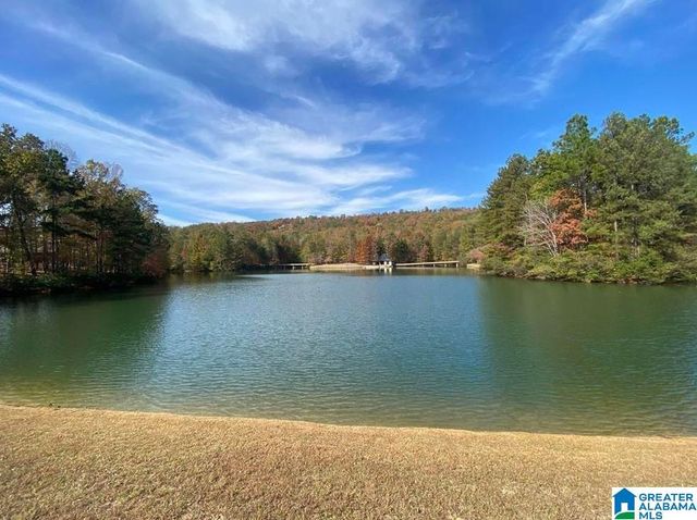 260 SOUTH OAK DRIVE, Birmingham, AL 35242