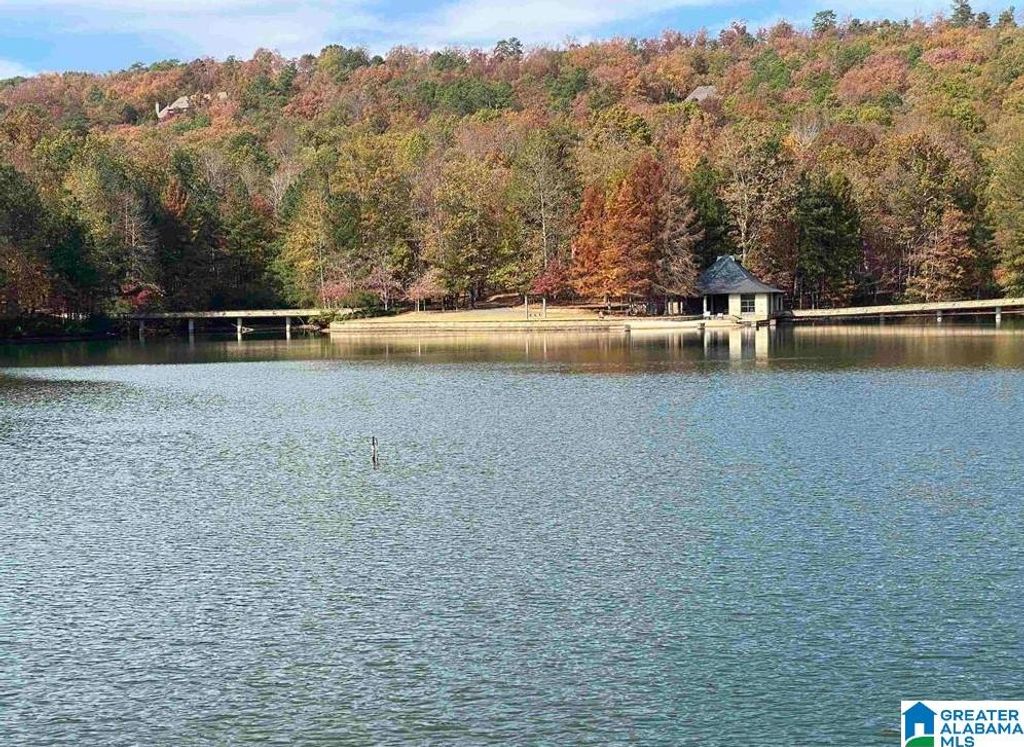 260 SOUTH OAK DRIVE, Birmingham, AL 35242