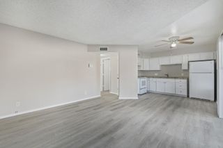 11002 N 15th Avenue Apt 4, Phoenix, AZ 85029