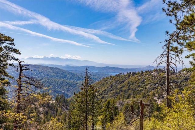 33481 Weeping Willow, Green Valley Lake, CA 92341