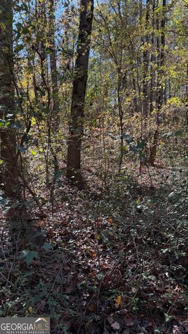 LOT 15 OF Fairview Springs Drive E, Ellenwood, GA 30294