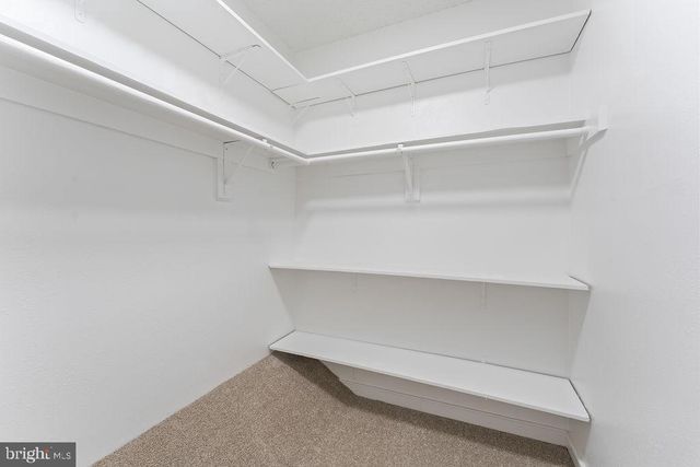 162 CHOPTANK RD, Stafford, VA 22556