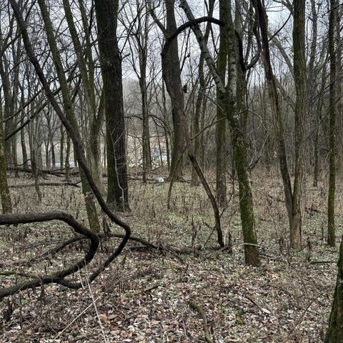 4205 Browning Branch Rd, Bethpage, TN 37022