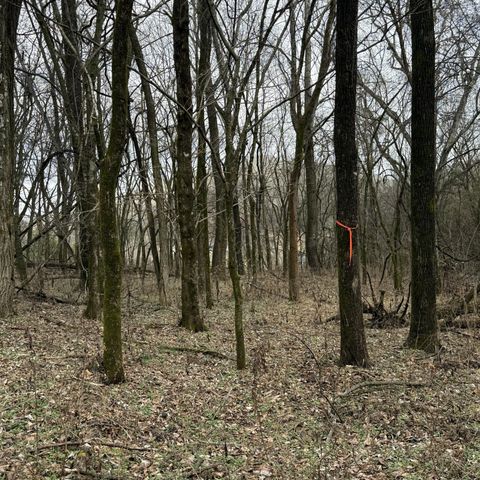 4205 Browning Branch Rd, Bethpage, TN 37022