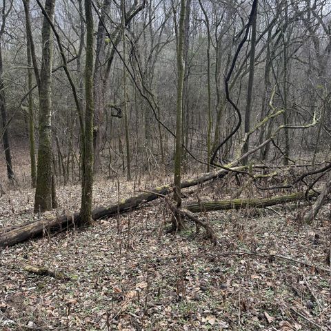 4205 Browning Branch Rd, Bethpage, TN 37022