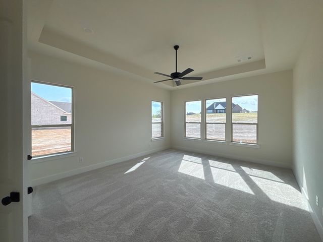 703 Water Side Drive, Van Alstyne, TX 75495