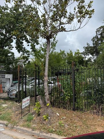 8918 Bellflower Street, Houston, TX 77063
