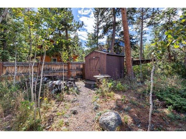 550 W Breed St, Nederland, CO 80466