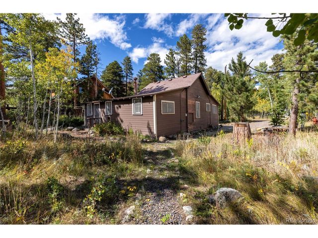 550 W Breed St, Nederland, CO 80466